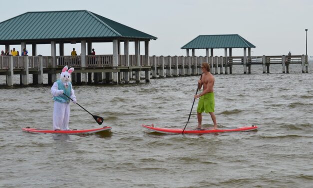 Paddleboarding Paradise: A Floral Oasis Awaits TL;DR: Explore the serene…