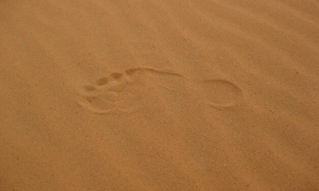 Sand ~ Beach Bum Blues: How To Get Sand Out…