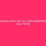 Running with WP CLI for WordPress Multisite